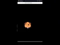 Drawing Dog Face in Python Turtle Module