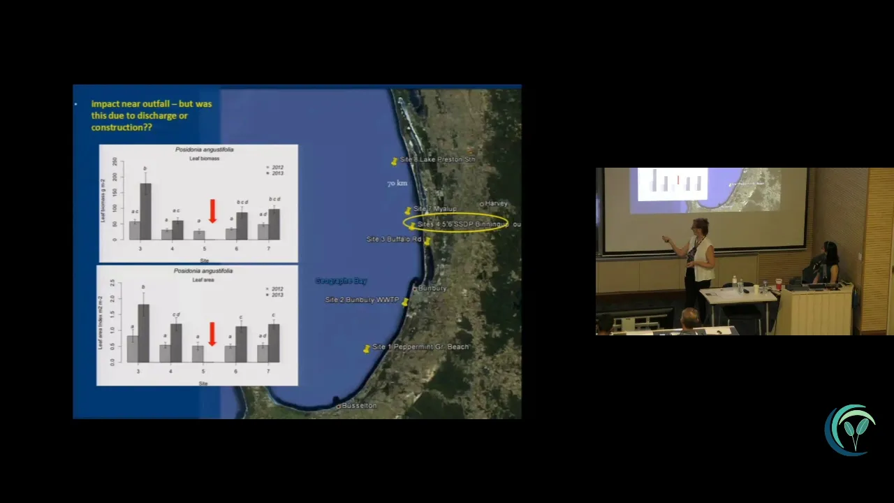Desalination Brine Effects on Posidonia australis Seagrass | UW Research