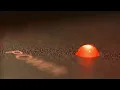 Ajda Pekkan - Seninleyim (Lirik Video)