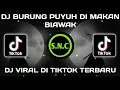 Download Lagu DJ BURUNG PUYUH DI MAKAN BIAWAK X GASOLINA X PANTEK PANTEK VIRAL DI TIKTOK FYP 2022