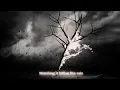 Sylar - Lovely Day (Visualizer)