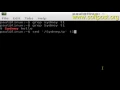 Difference between grep and sed in BASH shell terminal