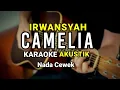 Download Lagu KAMELIA - IRWANSYAH ( KARAOKE ) NADA CEWEK