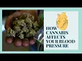 How Cannabis Affects Your Blood Pressure