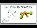 Is SeF4 Polar or Non-Polar Selenium Tetrafluoride