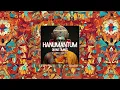 Lagu DIVINE:TIMING, Lex Laurence, Liam Bongo - Hanumantum (Extended Mix) [Scandalosa Records]