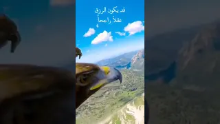 ليس شرطا أن يكون الرزق مالا مكتوبة بالوصف محمد الدوغان 