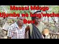 Download Lagu Masasi mdogo ujumbe wa lung'wecha 2022