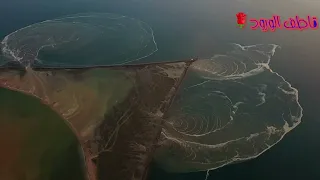 عبدالمجيد عبدالله  مربحي من هواك دندنها