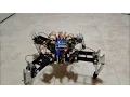 Raspberry Pi Quadruped