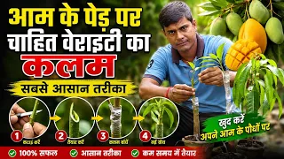 घर में ही बनाएं आपके पसंदीदा आम की वैराइटी का पौधा। बिल्कुल बिना किसी खर्चे के।Mango Plant Grafting 