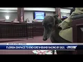 Greyhound racing is on track to end in 2021
