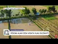 Lagu Pesona Alam Desa Wisata Hijau Bilebante #DiIndonesiaAja