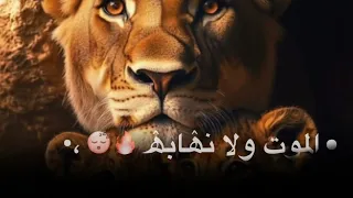 ٦ أغسطس ٢٠٢٥ 