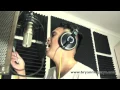 Download Lagu Alias - More Than Words Can Say Cover by Bryan Magsayo