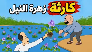 غزو زهرة النيل😱