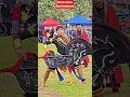 Download Lagu POV : CLASSIC MODERN MANDRAGUNA 🥶?? Ebeg banyumasan #shorts #banyumas #ebegbanyumasan #pov