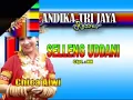 Download Lagu Selleng Uddani - Chica Alwi