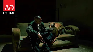 DON XHONI - BBB