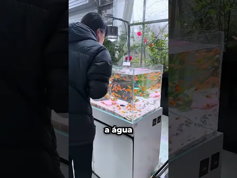 Esse Simples Erro Transformou a Água do Aquário 😱