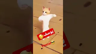 ترند جوجو جوجو يوسف يوسف الجزائر قطر السعودية العراق مصر Algerie 