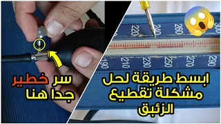                                                             دندنها