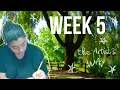 Download Lagu The Artist's Way Week 5 | Recovering a sense of Possibility