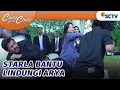 Download Lagu Starla Bumil Jagoan! Bantu Melindungi Suaminya | Cinta Setelah Cinta - Episode 498