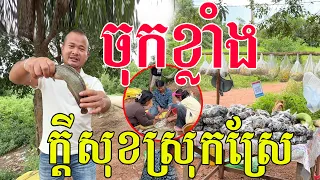 ក្ដីសុខស្រុកស្រែ នឹកអនុស្សាវរីយ៍កាលវ័យកុមារ