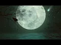 Bach: Toccata and Fugue in D Minor, BWV 565