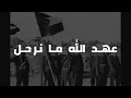 Download Lagu عهد الله ما نرحل || أغاني ثورية فلسطينية