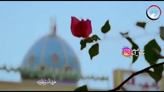 احمد الدريعي صوت الحق 