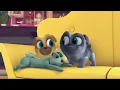 Theme Song | Puppy Dog Pals | Disney Junior