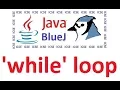 While Loop - Computer Applications Class 10