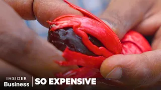 How Farmers In One Indian Village Crafted The Most Expensive Nutmeg and Mace So Expensive