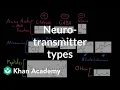 Types of neurotransmitters Nervous system physiology NCLEX-RN Khan Academy