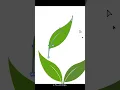 How to draw leaves pattern in Adobe Illustrator