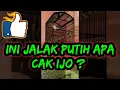 Download Lagu Jalak Putih Bongkar Isian | Jalak Putih Isian Cak Ijo | Jalak Putih Gacor