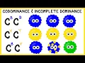 Codominance and Incomplete Dominance Non-Mendelian Genetics