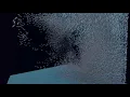GPU instanced flocking simulation on Unity Universal Render Pipeline