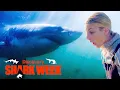 Legendary Great White Shark Comes out of Hiding Shark Week
