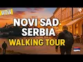 Download Lagu Verhuizen naar Servië? Ontdek Novi Sad | Expat \u0026 Reisgids