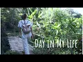 Download Lagu Jungle Living In Bali, Indonesia! (Story 7)