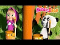 Masha and the Bear 2025 🐼🎨 Red, Orange or Green? 🔴🟠🟢 Best episodes cartoon collection 🎬