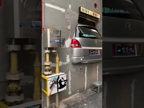 لما ابوك يشتري سيارة جديدة !! #cat
