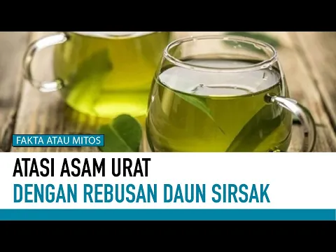 Daun Sirsak Berkhasiat Obati Asam Urat?