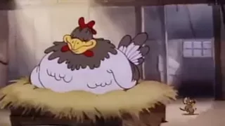 القط و الفار ـــ توم جيري حلقه الدجاجه 