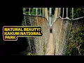 Download Lagu KAKUM National Park - KNOW THIS before making the trip