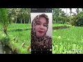 Download Lagu Evie tamala-kantong hate  #EVIE #TAMALA #KANTONHG #HATE