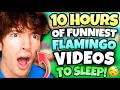 10 HOURS OF FLAMINGO TO FALL ASLEEP ROBLOX